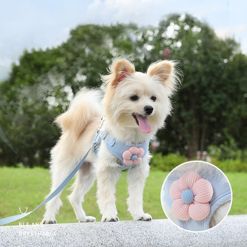 Cat Harness & Leash Set – Escape Proof & Comfy