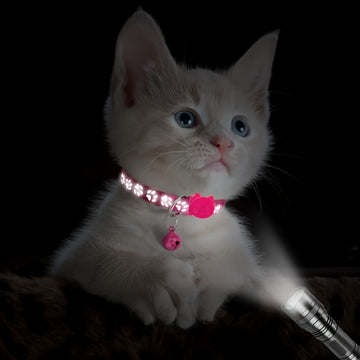 2pcs Reflective Cat Collars – Breakaway & Cute