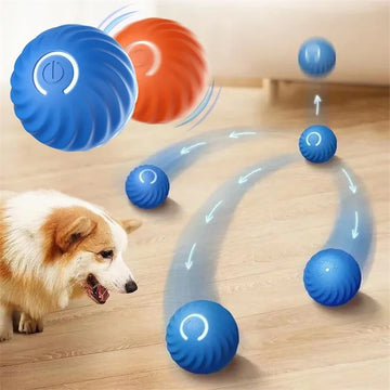 Smart USB Interactive Dog Ball  Auto Moving