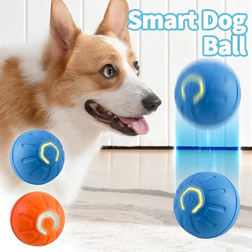 Smart Interactive Moving Ball  USB Rechargeable