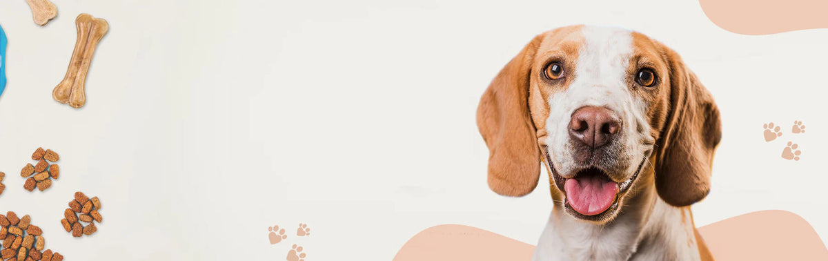 collection-banner-image