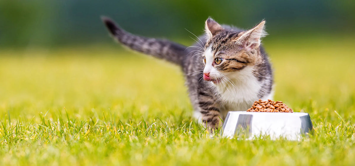 slider image 1621243260e1af0c20-0